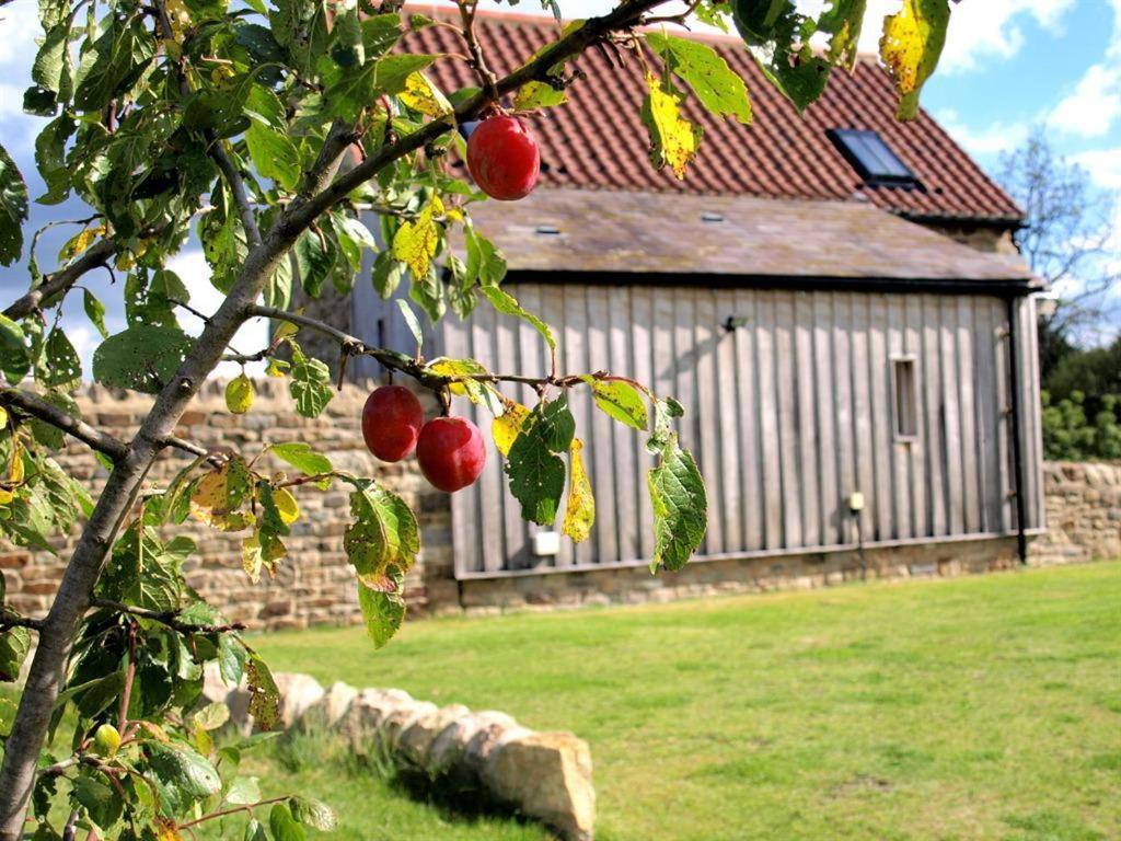 Plum Tree Cottage Witton le Wear Eksteriør billede